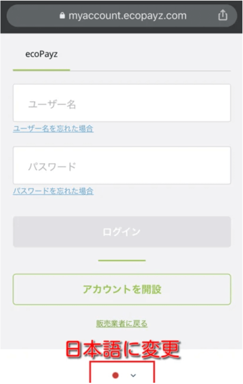 12 Payz(ペイズ)からオンラインカジノに入金する方法 4