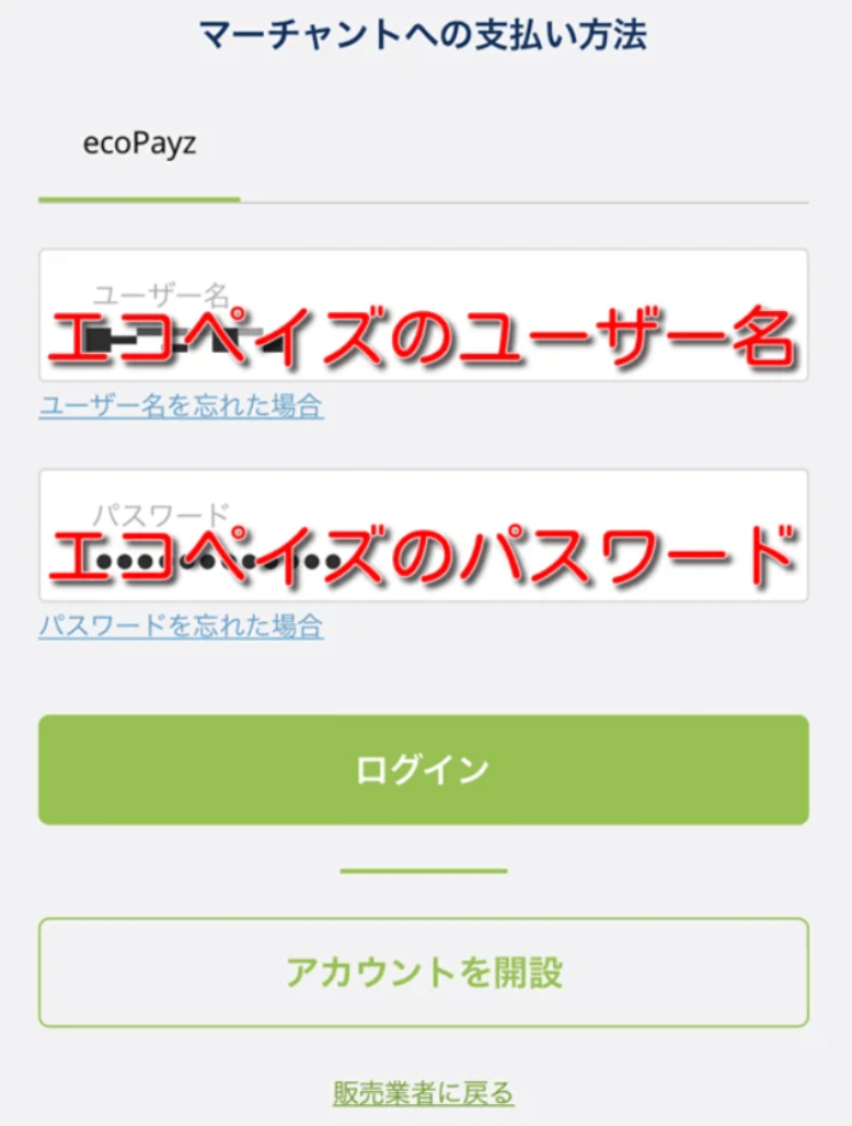 13 Payz(ペイズ)からオンラインカジノに入金する方法 5