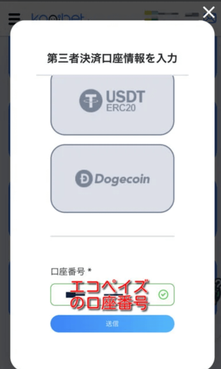 20 オンラインカジノからPayz(ペイズ)に出金する方法 3